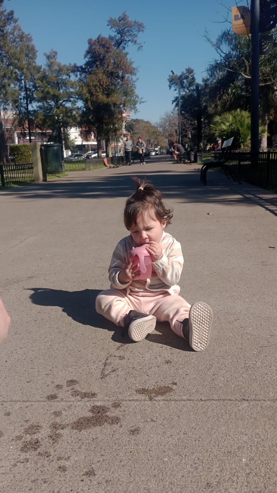 WhatsApp Image 2025-08-28 at 10.55.09.jpeg